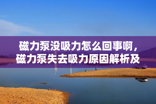 磁力泵没吸力怎么回事啊，磁力泵失去吸力原因解析及解决方法