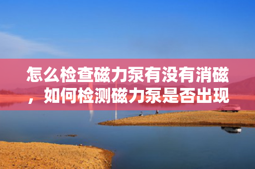 怎么检查磁力泵有没有消磁，如何检测磁力泵是否出现消磁情况