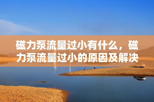 磁力泵流量过小有什么，磁力泵流量过小的原因及解决方法