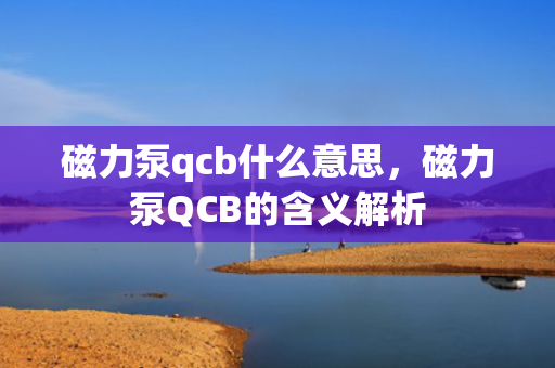 磁力泵qcb什么意思，磁力泵QCB的含义解析