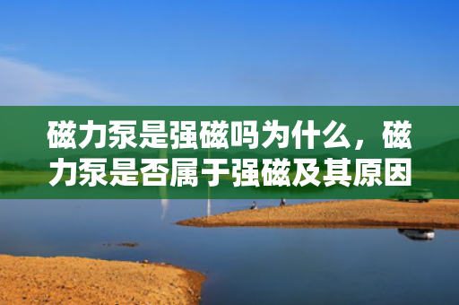 磁力泵是强磁吗为什么，磁力泵是否属于强磁及其原因解析