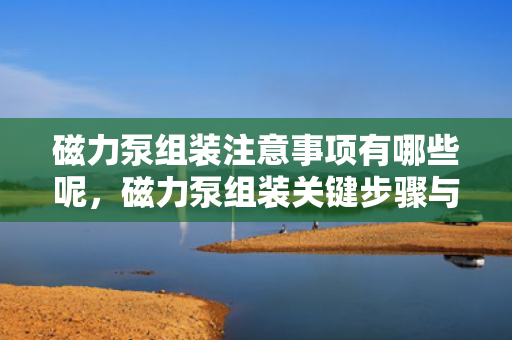 磁力泵组装注意事项有哪些呢，磁力泵组装关键步骤与注意事项