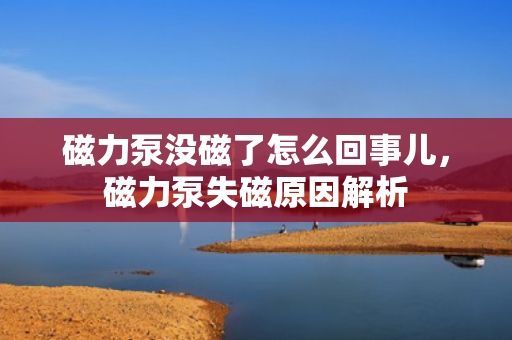 磁力泵没磁了怎么回事儿，磁力泵失磁原因解析