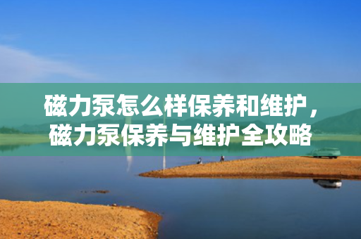 磁力泵怎么样保养和维护，磁力泵保养与维护全攻略
