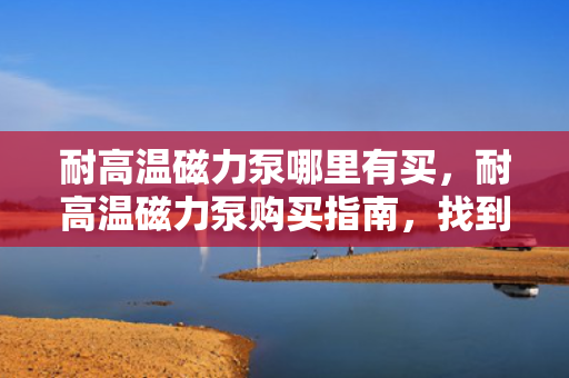 耐高温磁力泵哪里有买，耐高温磁力泵购买指南，找到最适合你的供应商