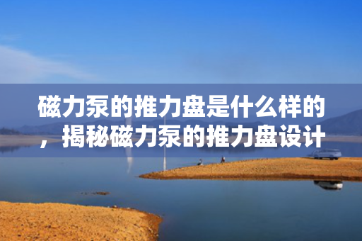 磁力泵的推力盘是什么样的，揭秘磁力泵的推力盘设计，结构与特点详解