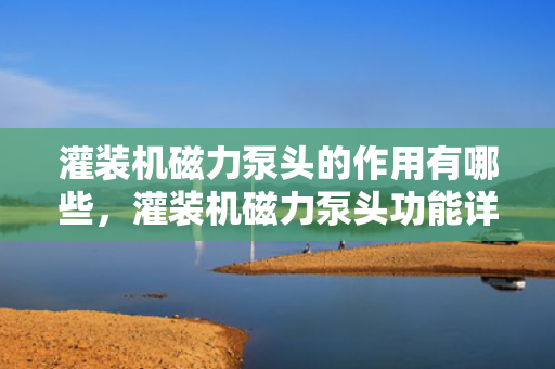 灌装机磁力泵头的作用有哪些，灌装机磁力泵头功能详解，提升效率与精度的关键组件