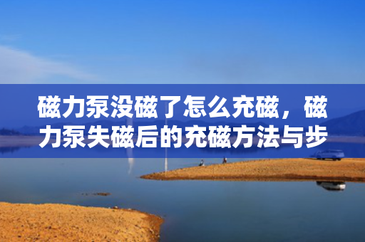 磁力泵没磁了怎么充磁，磁力泵失磁后的充磁方法与步骤