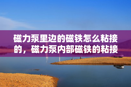 磁力泵里边的磁铁怎么粘接的，磁力泵内部磁铁的粘接方法与技巧