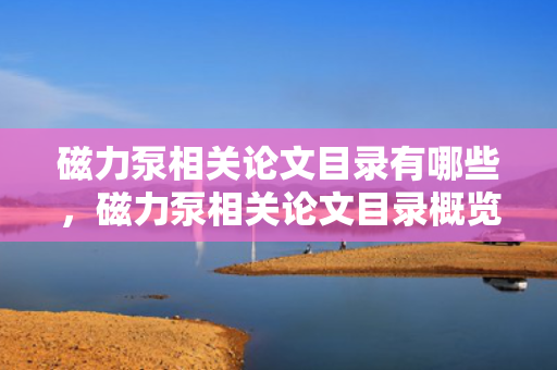 磁力泵相关论文目录有哪些，磁力泵相关论文目录概览