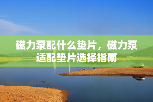 磁力泵配什么垫片，磁力泵适配垫片选择指南