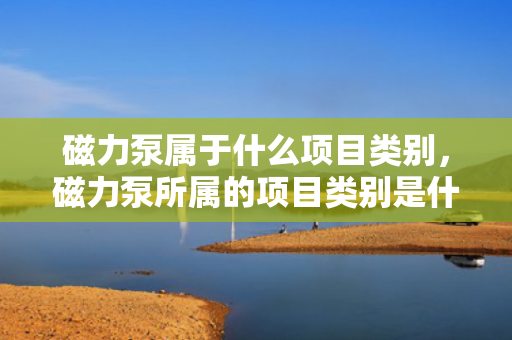 磁力泵属于什么项目类别，磁力泵所属的项目类别是什么？