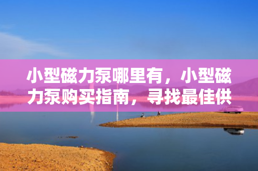 小型磁力泵哪里有，小型磁力泵购买指南，寻找最佳供应渠道