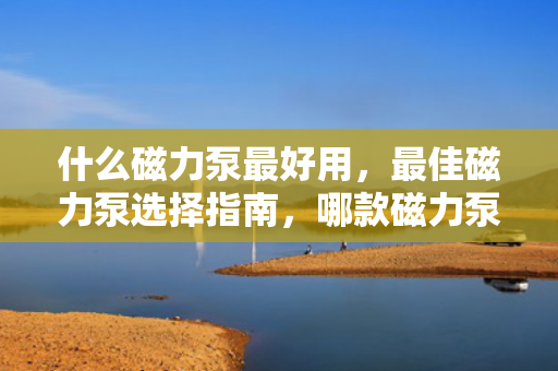 什么磁力泵最好用，最佳磁力泵选择指南，哪款磁力泵最好用？