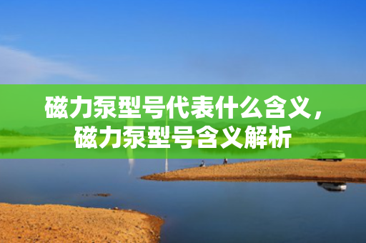 磁力泵型号代表什么含义，磁力泵型号含义解析