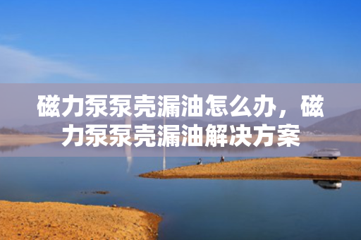 磁力泵泵壳漏油怎么办，磁力泵泵壳漏油解决方案