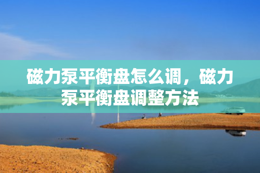 磁力泵平衡盘怎么调，磁力泵平衡盘调整方法
