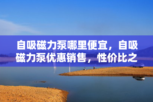 自吸磁力泵哪里便宜，自吸磁力泵优惠销售，性价比之选