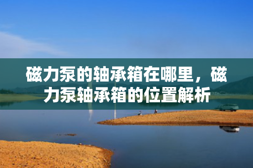 磁力泵的轴承箱在哪里，磁力泵轴承箱的位置解析