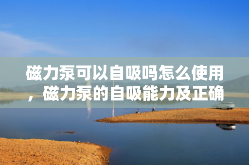 磁力泵可以自吸吗怎么使用，磁力泵的自吸能力及正确使用方法解析