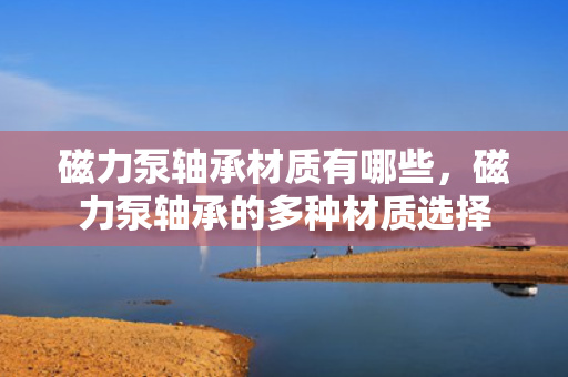 磁力泵轴承材质有哪些，磁力泵轴承的多种材质选择