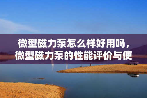 微型磁力泵怎么样好用吗，微型磁力泵的性能评价与使用体验