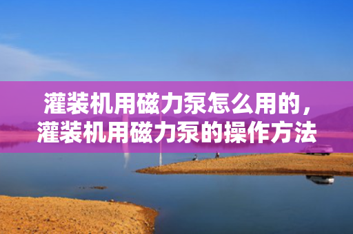 灌装机用磁力泵怎么用的，灌装机用磁力泵的操作方法与使用指南