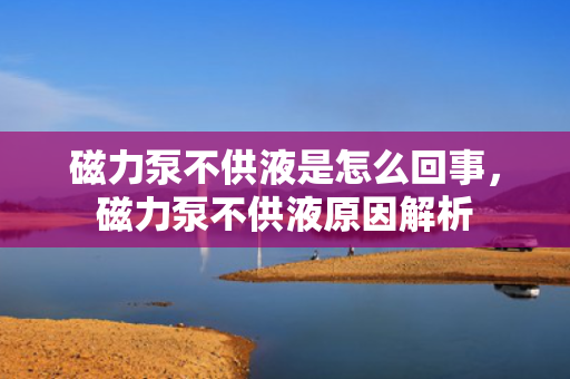 磁力泵不供液是怎么回事，磁力泵不供液原因解析