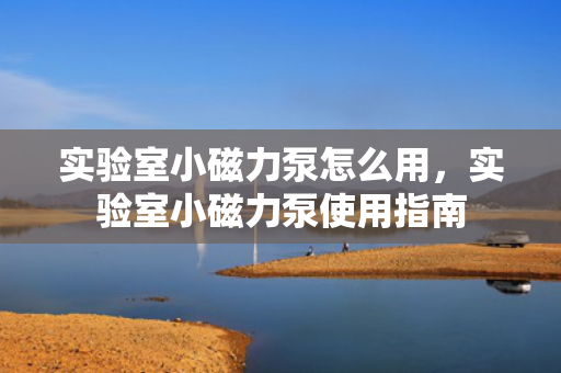 实验室小磁力泵怎么用，实验室小磁力泵使用指南
