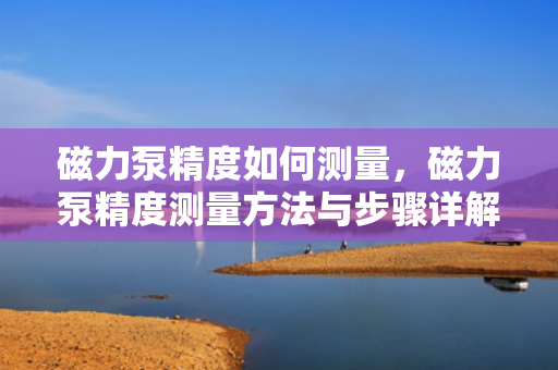 磁力泵精度如何测量，磁力泵精度测量方法与步骤详解