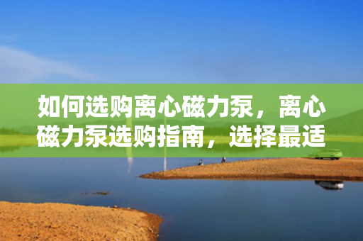 如何选购离心磁力泵，离心磁力泵选购指南，选择最适合您的泵型