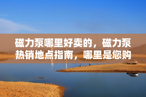 磁力泵哪里好卖的，磁力泵热销地点指南，哪里是您购买磁力泵的最佳选择？