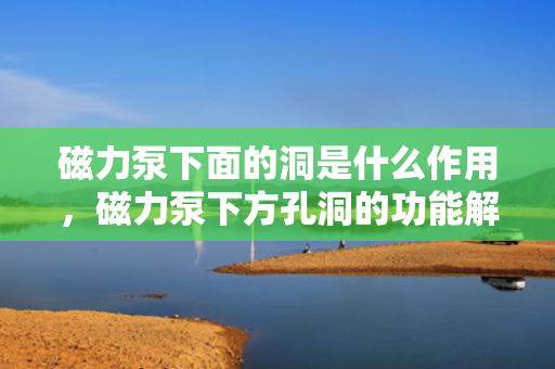 磁力泵下面的洞是什么作用，磁力泵下方孔洞的功能解析