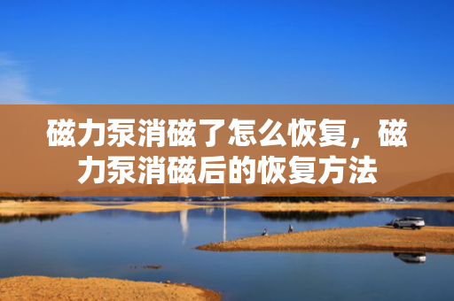 磁力泵消磁了怎么恢复，磁力泵消磁后的恢复方法