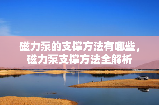磁力泵的支撑方法有哪些，磁力泵支撑方法全解析
