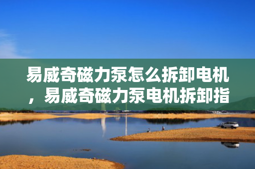 易威奇磁力泵怎么拆卸电机，易威奇磁力泵电机拆卸指南