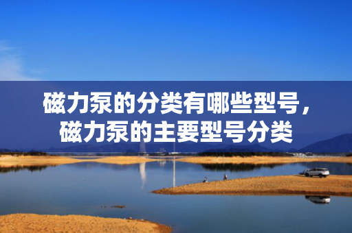 磁力泵的分类有哪些型号，磁力泵的主要型号分类