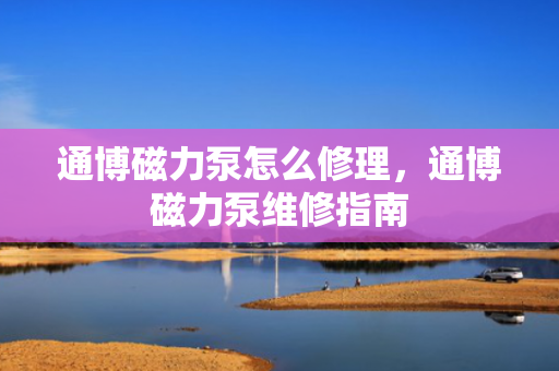通博磁力泵怎么修理，通博磁力泵维修指南