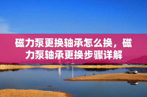 磁力泵更换轴承怎么换，磁力泵轴承更换步骤详解