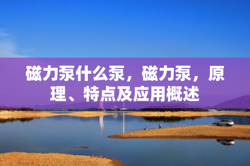 磁力泵什么泵，磁力泵，原理、特点及应用概述