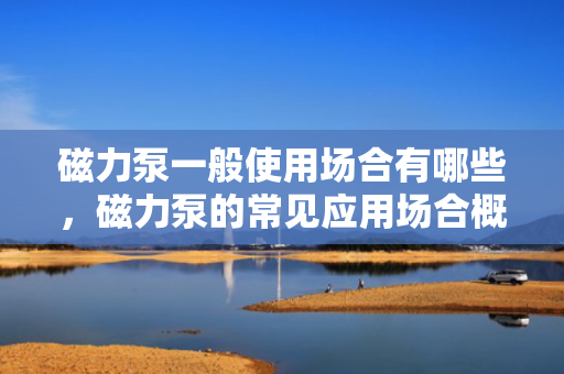 磁力泵一般使用场合有哪些，磁力泵的常见应用场合概述