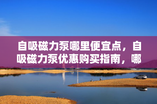 自吸磁力泵哪里便宜点，自吸磁力泵优惠购买指南，哪里能找到更便宜的价格？