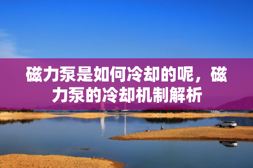 磁力泵是如何冷却的呢，磁力泵的冷却机制解析