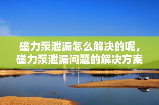 磁力泵泄漏怎么解决的呢，磁力泵泄漏问题的解决方案