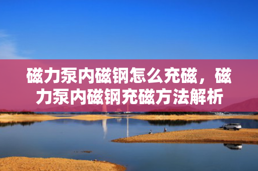 磁力泵内磁钢怎么充磁，磁力泵内磁钢充磁方法解析
