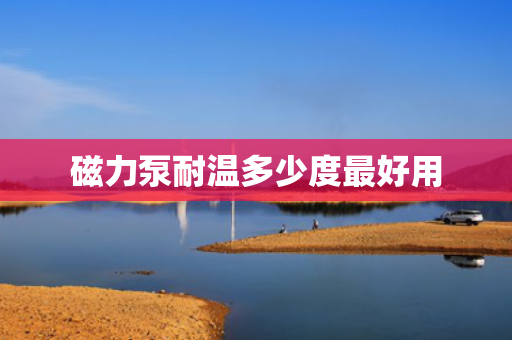 磁力泵耐温多少度最好用
