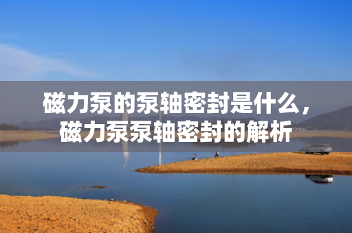 磁力泵的泵轴密封是什么，磁力泵泵轴密封的解析