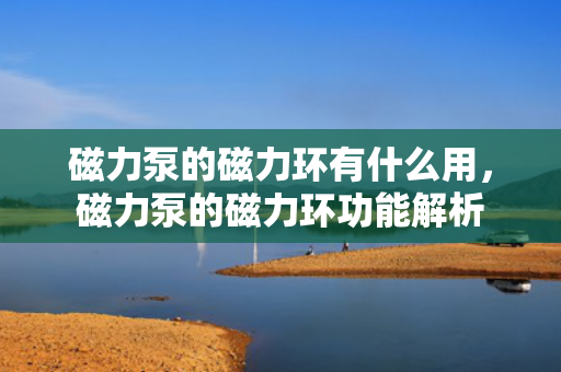 磁力泵的磁力环有什么用，磁力泵的磁力环功能解析