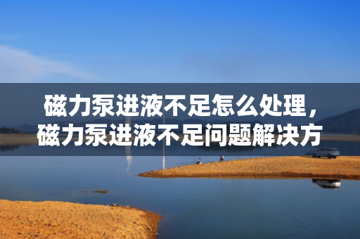 磁力泵进液不足怎么处理，磁力泵进液不足问题解决方案