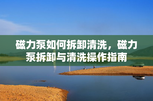 磁力泵如何拆卸清洗，磁力泵拆卸与清洗操作指南